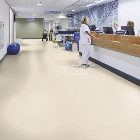 Forbo Marmoleum Decibel on Order 370135 moon фото 2 | FLOORDEALER